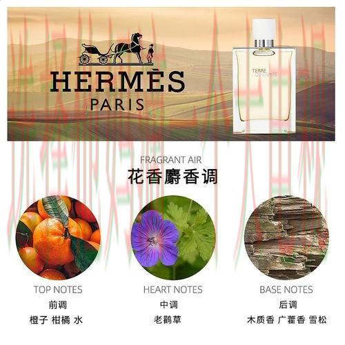 亚盈体育登录入口官网注册教程